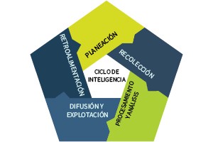 Ciclo de inteligencia